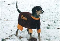 Click to view exif information